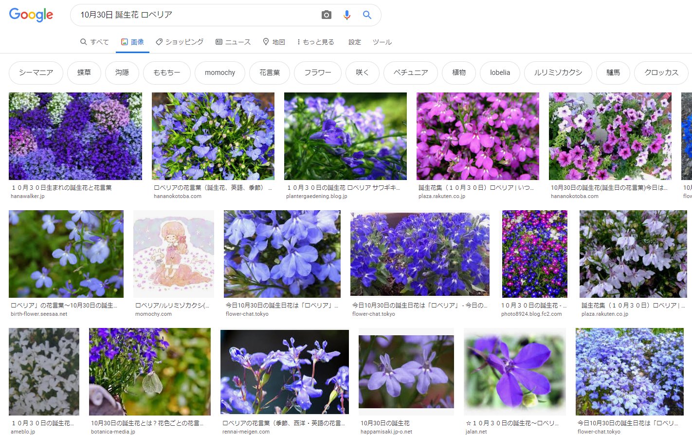 スタマイ攻略wiki Gamerch カレに花束を贈ろう 早乙女郁人お誕生日ガチャ10連プレイで入手できる新規プレゼント アイテム Sr 10月30日の花束 T Co 1aqhnt76hf お花は10月30日の誕生花の一つであるロベリアだと思われます スタマイ T