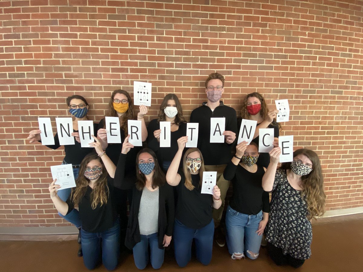 ASGCGP's tweet photo. *MASKED* Patterns of Inheritance #Hallogene20 #GCchat  #ASGCGP #COVID19 #reducedpenetrance #incompletedominance #gainoffunction #spookygenes #Xlinkedinheritance https://t.co/6GFV9PHxEy