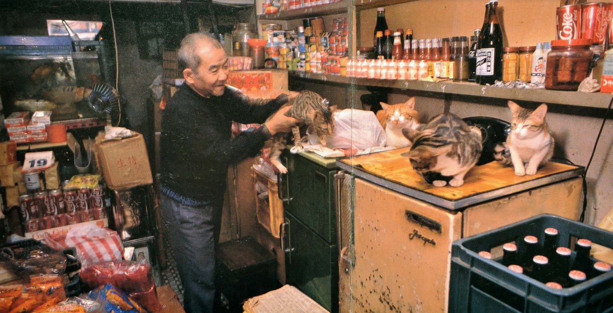 I'm going to start spamming the timeline with my current stash of rare Kowloon Walled City photographs.