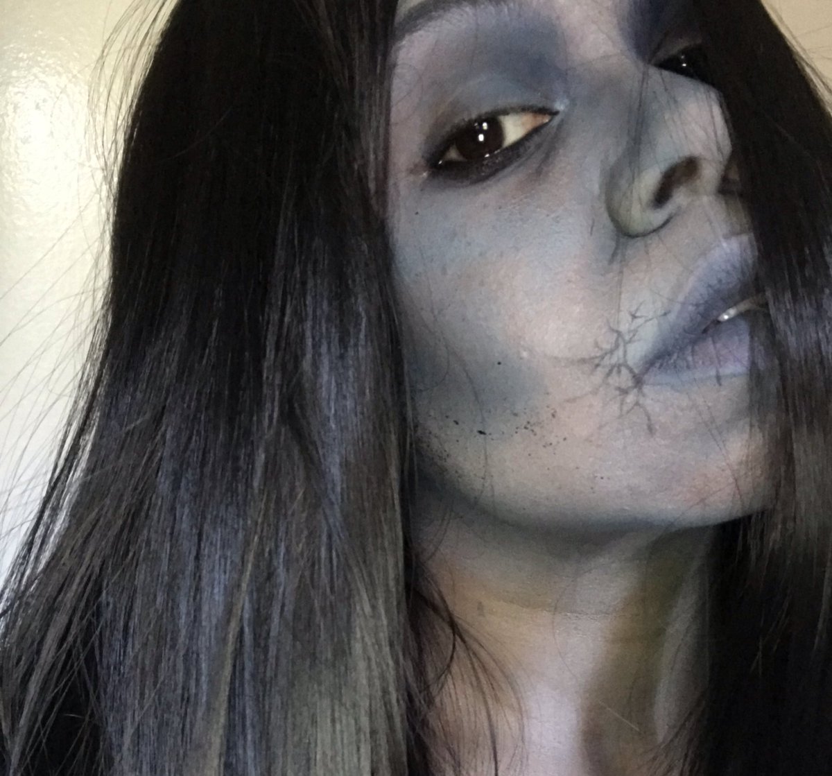 DanaMUA's tweet photo. The Ghosts of Halloweens Past. #TBT
#ThrowbackMakeup https://t.co/O94AIGev0O