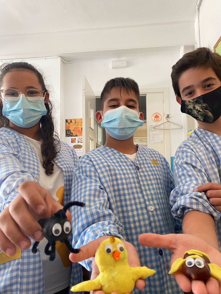 mercedaries's tweet photo. A cicle superior celebrem la #castanyada decorant castanyes!! #fsf5prim #fsf6prim https://t.co/RWdrzdYJuy