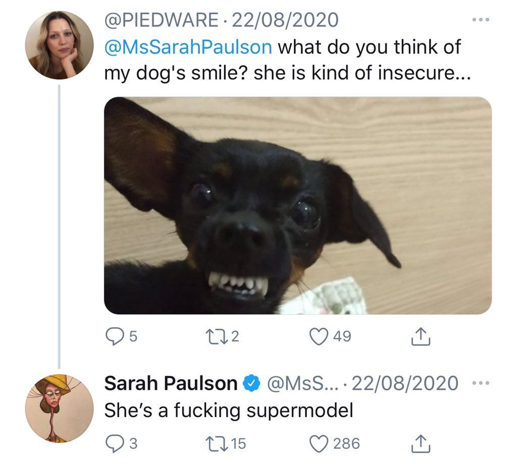 oh and sarah hypes her stans' dogs too!! seriously you guys she's got it all