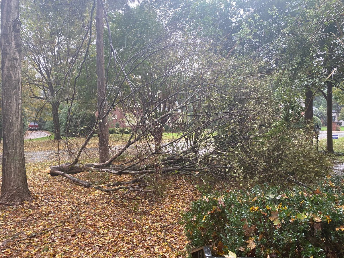 cnupegolf's tweet image. This HUGE branch crashed in my yard on 10/29. Thank god no one was hurt! My neighbors who have different political allegiances than me were extremely helpful. One of the lessons for me, we have more in common than we don't! #togetherwecandoanything