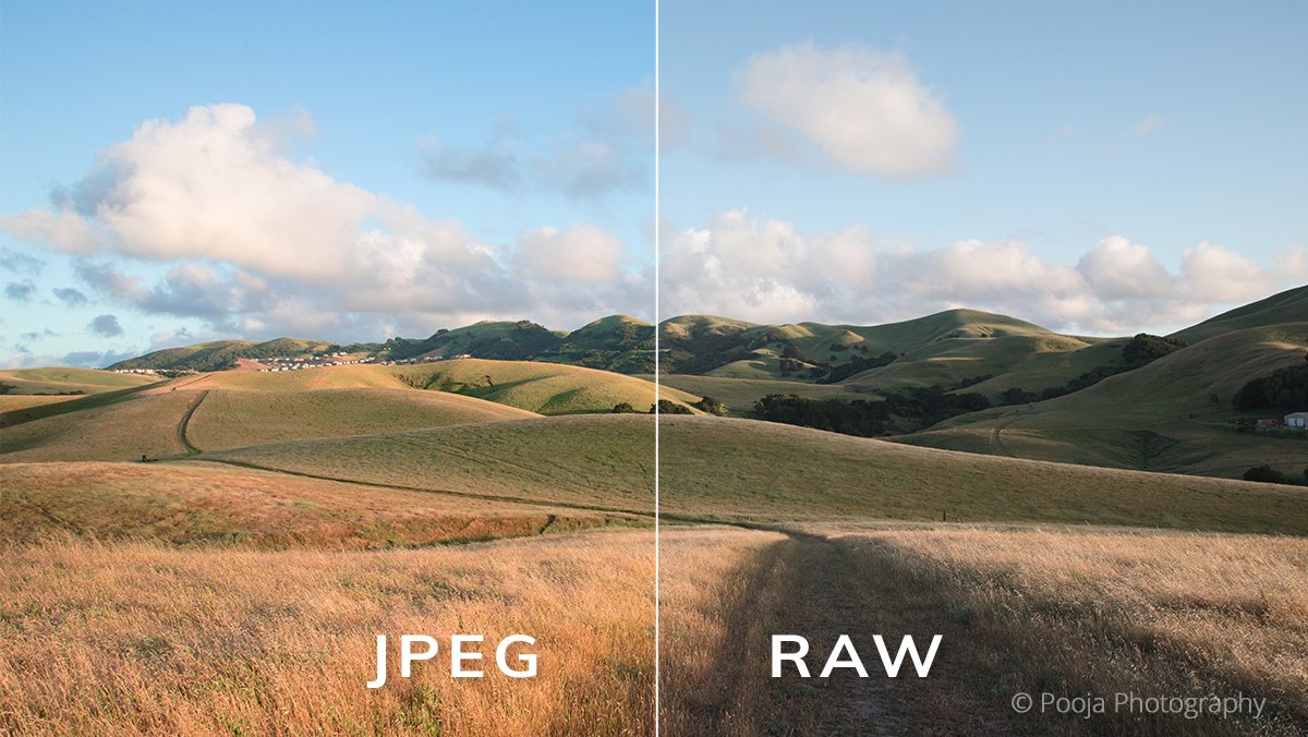There are several key differences between images in JPEG and RAW format. We explain what the differences are in the simplest way possible. Check out this article for a thorough lesson on what type of file to use and when.

exposure.software/blog/2020/comp…
Photo by <a href="/ClickMyPix/">PoojaPhotography</a>