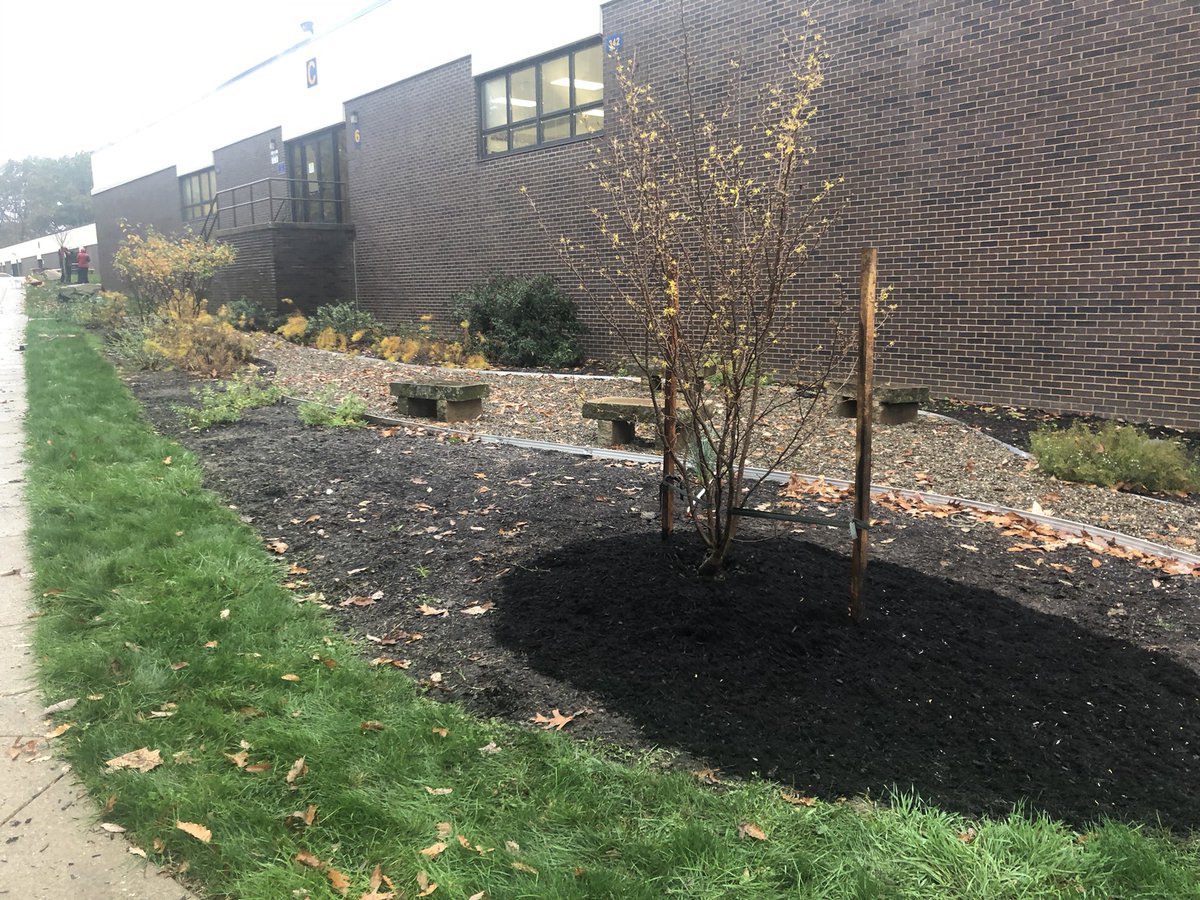 krishupp's tweet photo. Special thank you to Ryan, Marah, & Matt from @WaterLandLife for braving the cold and rainy morning to add a witch hazel and serviceberry tree to our outdoor learning spaces. #STEAMCatalyst @transformED_aiu @remakelearning https://t.co/1jtSNU1wOC