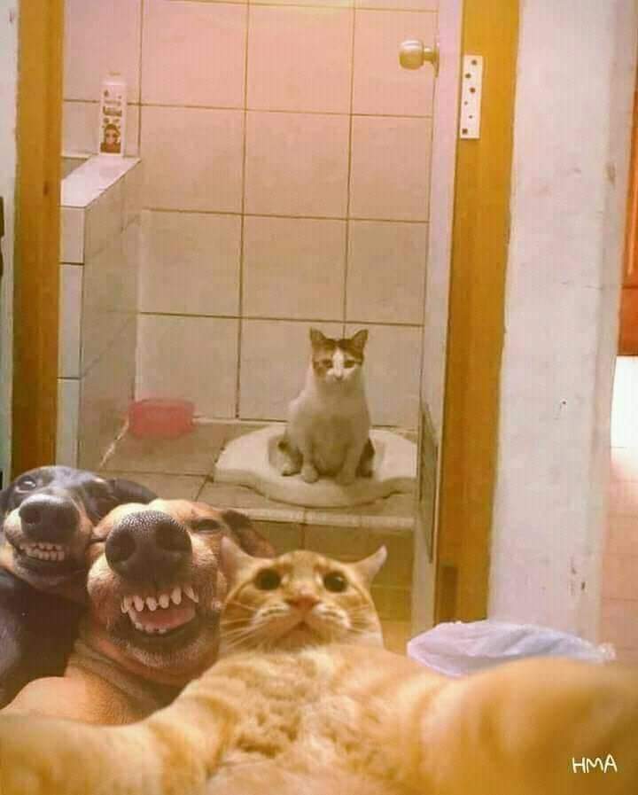 Njemu nije smešno😂
