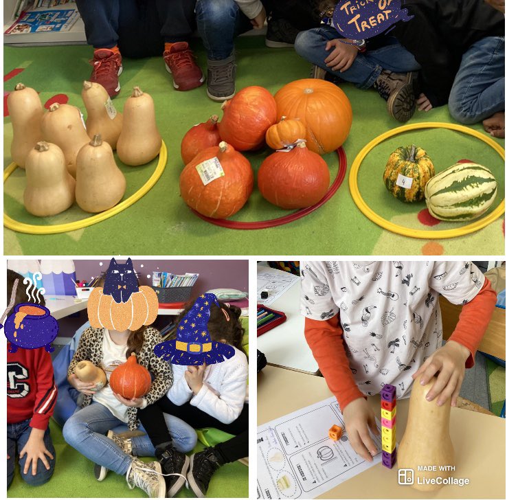 VbdCsil's tweet image. Des maths avec nos #potirons 🎃
Quoi de mieux pour 
#classer #peser #mesurer #comparer
Vivre les #maths 
#uccle #valfleuri #ecole #1ere #ateliers