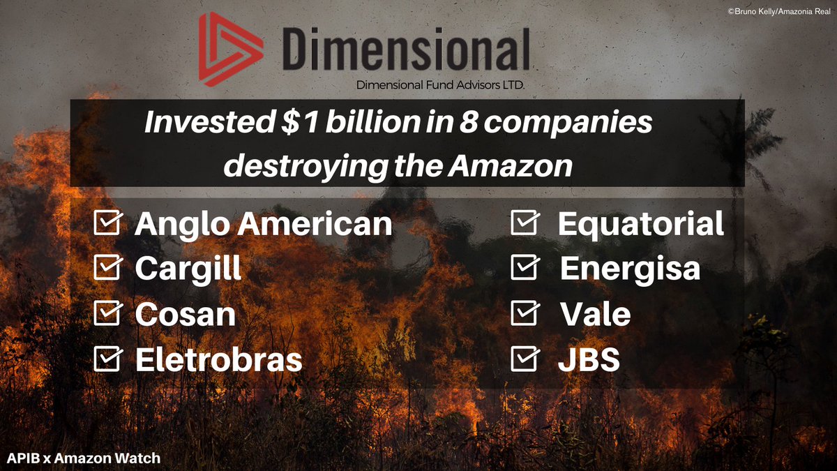 MJRyan8's tweet photo. .@dimensional invested $1 billion into 8 companies destroying the Amazon and violating Indigenous rights. Their only commitment is to maximizing profit. 

It must adopt policies that protect Indigenous rights and end deforestation NOW!

#ComplicityInDestruction #AmazonCeaseFire https://t.co/5nOB0ufUzw