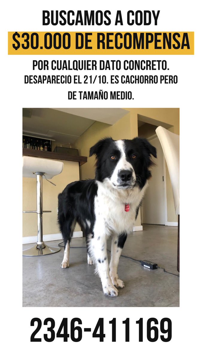 Si tenes un dato que nos ayude a encontrar a Cody, no nos importa cómo lo conseguiste, donde lo encontraste o cuánto tiempo lo tuviste, nisiquiera tus datos. Solo queremos a nuestro perro, ofrecemos una recompensa de $30.000. Porfavor ayuden