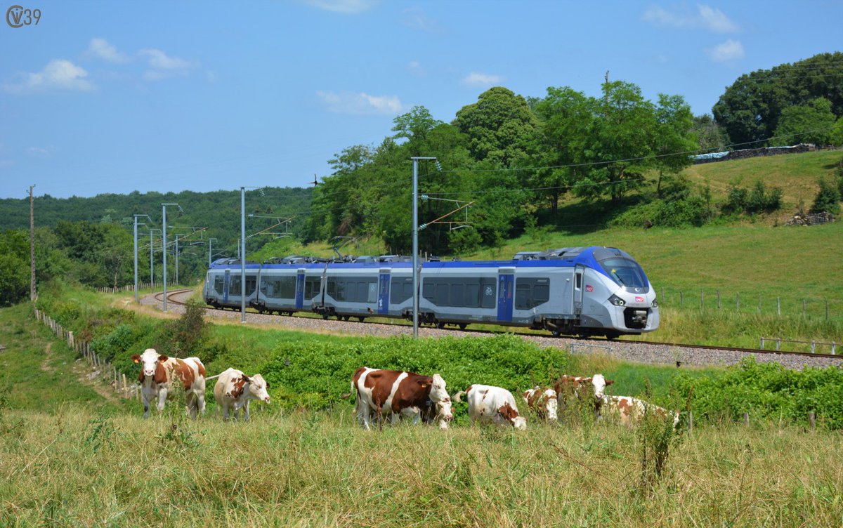 TER_BFC_Trafic's tweet image. Connaissez vous les "Trainspotters" ? 🤔

ℹ️ Ce sont ces passionnés du monde ferroviaire et de photographie

Ils parcourent parfois plusieurs kilomètres pour trouver l'emplacement idéal et réaliser les plus beaux clichés de trains 📸 🚅

Il y a-t-il des #Trainspotters parmi vous?