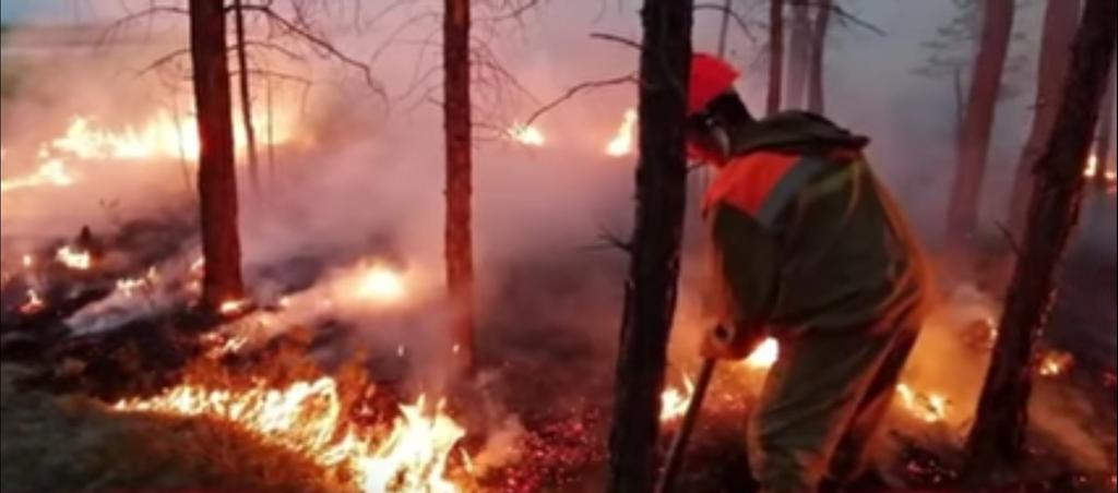#Goygol was attacked by #ArmenianTerrorists, and as a result, forest in #Goygol started to burn. 
#Goygolisburning :( 
Our #lungs are burning 
Why don't want to see the #truth, #World?
#OpenYourEyes 
#PrayforGoygol
#StopArmenianAggrression 
#StopArmenianTerrorisim