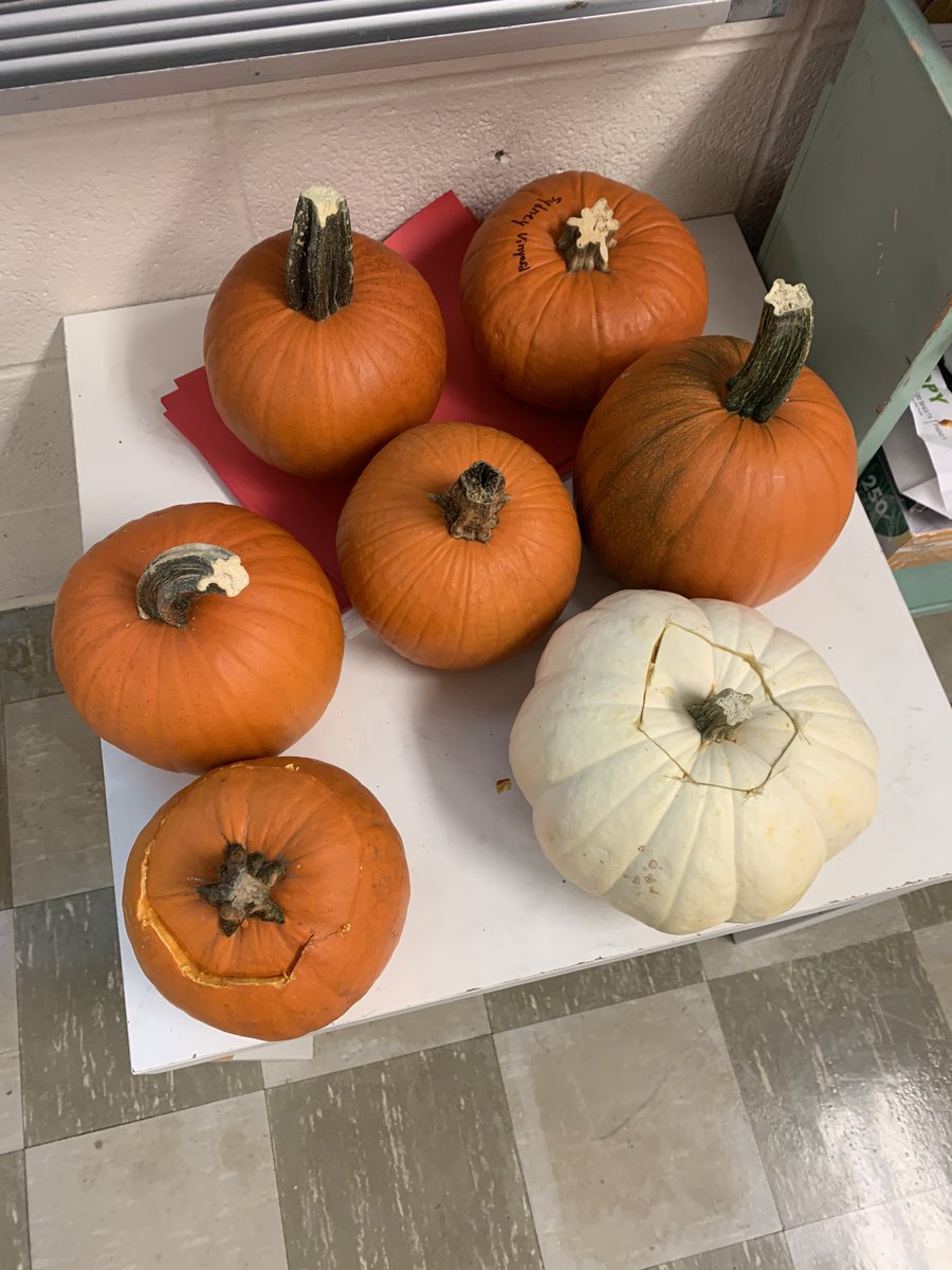 misscaruso4th's tweet image. Creating bird feeders, bar graphing our apple tasting, making enemy apple pie in cup and having spooky pumpkin science! I would say room 27 has had a fun learning filled fall so far! #fourthfun #murphy
