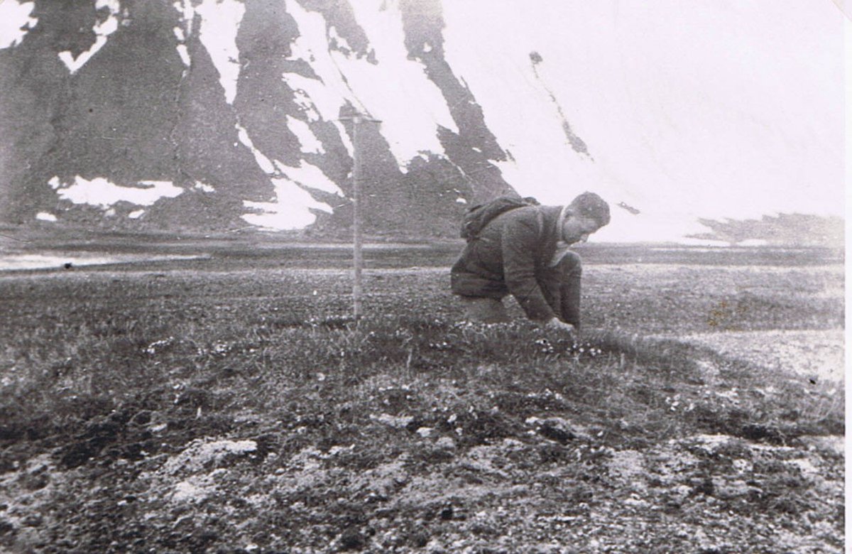 ERC ARCTIC CULTURES (@arcticcult) on Twitter photo Great to see <a href="/JohanneMBruun/">Johanne Bruun</a> discuss "Archiving Arctic ecologies in the
early twentieth century: the field
and its archival prosthesis" at the Geographies of Knowledge lunchtime seminar series next Wednesday, 4 Nov, 1pm. <a href="/scottpolar/">Scott Polar Research Institute</a> <a href="/CamUniGeography/">Cambridge Geography</a> <a href="/CamGeoKnowledge/">Geographies of Knowledge</a> Great to see <a href="/JohanneMBruun/">Johanne Bruun</a> discuss "Archiving Arctic ecologies in the
early twentieth century: the field
and its archival prosthesis" at the Geographies of Knowledge lunchtime seminar series next Wednesday, 4 Nov, 1pm. <a href="/scottpolar/">Scott Polar Research Institute</a> <a href="/CamUniGeography/">Cambridge Geography</a> <a href="/CamGeoKnowledge/">Geographies of Knowledge</a>