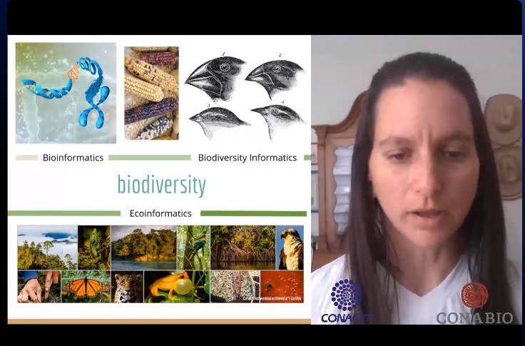 soibio2021's tweet photo. >>Keynote Speaker<< #ISCB_SOIBIO_BioNetMX_2020

We are listening to Alicia Mastretta @AliciaMstt from Mexico

Title: "Bioinformatics modern challanges: from genes to ecosystems

@soibio2020 @iscbsc @iscb https://t.co/sEvU2e88T6