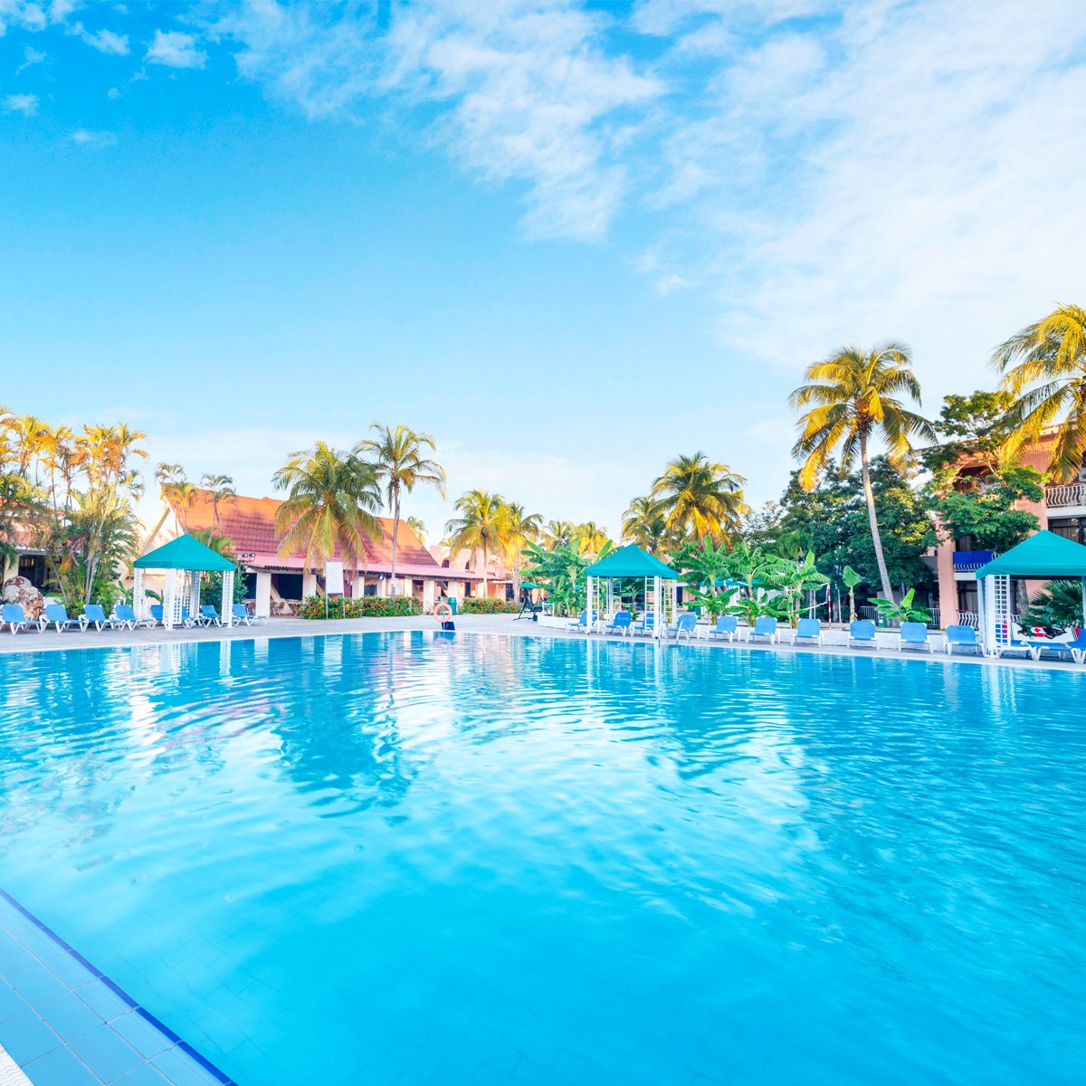 Roc Hotels tweet media