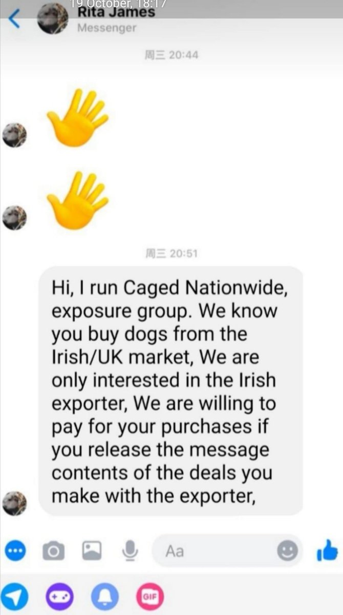 DavidJMitch's tweet image. Finally, we have our answer on where @CAGEDnw spend their donations.

Rita James is using donors money to pay for dogs to be exported to China. I quote “we are willing to pay for your purchases”.

Do your thing, Twitter. 🔁