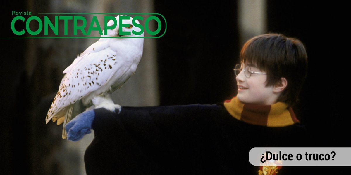 rcontrapeso's tweet photo. Harry Potter llega con un festival a México en este Halloween, ¡no te lo pierdas! 

https://t.co/PzOMiKmoH4 https://t.co/YUKfNoxthT