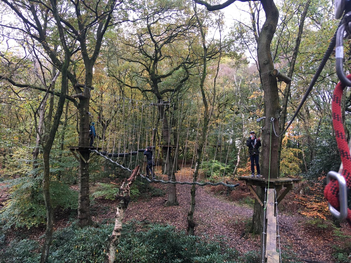 gmyn's tweet photo. #Manchester thrillseeking young people enjoying being up in the trees yesterday at @TreetopTrekUK #YoungPeopleCan #fightingfear https://t.co/Z2UitKiflu