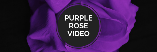 Kristal081670's tweet photo. If you love #booktrailers and #romancebooks then check out the page for Purple Rose Video. You might find your next #read. #teasertrailers #Trailers #RomanceReaders #readingcommunity
https://t.co/piOLrAMnxA https://t.co/6UVc7hejBm