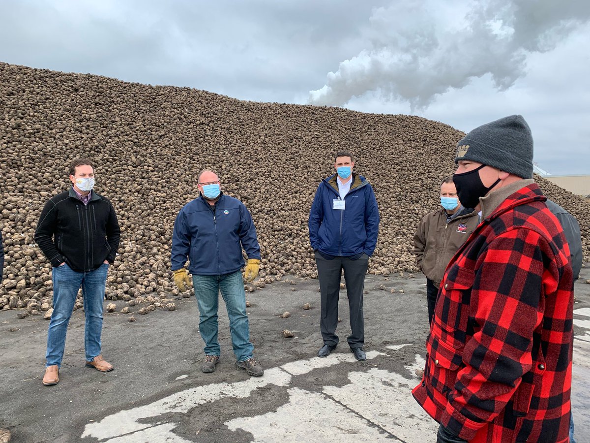 GovTimWalz's tweet photo. Impressive sugarbeet harvest this year! Enjoyed my visit to Crookston yesterday to hear about progress the industry has made since a difficult harvest last year. 🌾🚜 https://t.co/9GQCYjlUTH