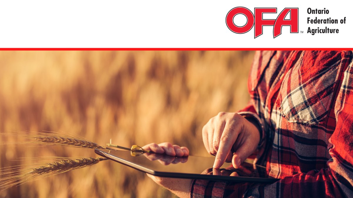 OntarioFarms's tweet photo. As COVID-19 numbers rise, OFA wants to ensure our members have the resources needed to keep themselves safe while operating their essential business. For tips on how to manage risk &amp; improve the safety &amp; well-being of your workplace view the guide below. 
https://t.co/aAcsrvgRs8 https://t.co/Lbi8YhTAXT