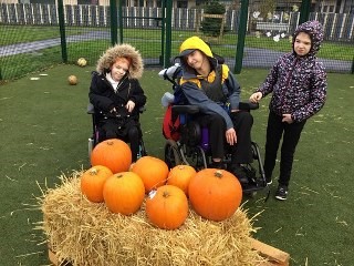 IsobelMair's tweet photo. Class Arran visited the pumpkin patch to select some pumpkins to carve. Well done everyone, very spooky! #weareIMS #autumnfestival #pumpkinpatch2020 https://t.co/OQHprWQVUR