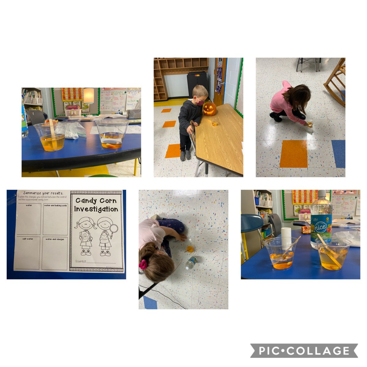 Elizabeth Felsmann tweet media