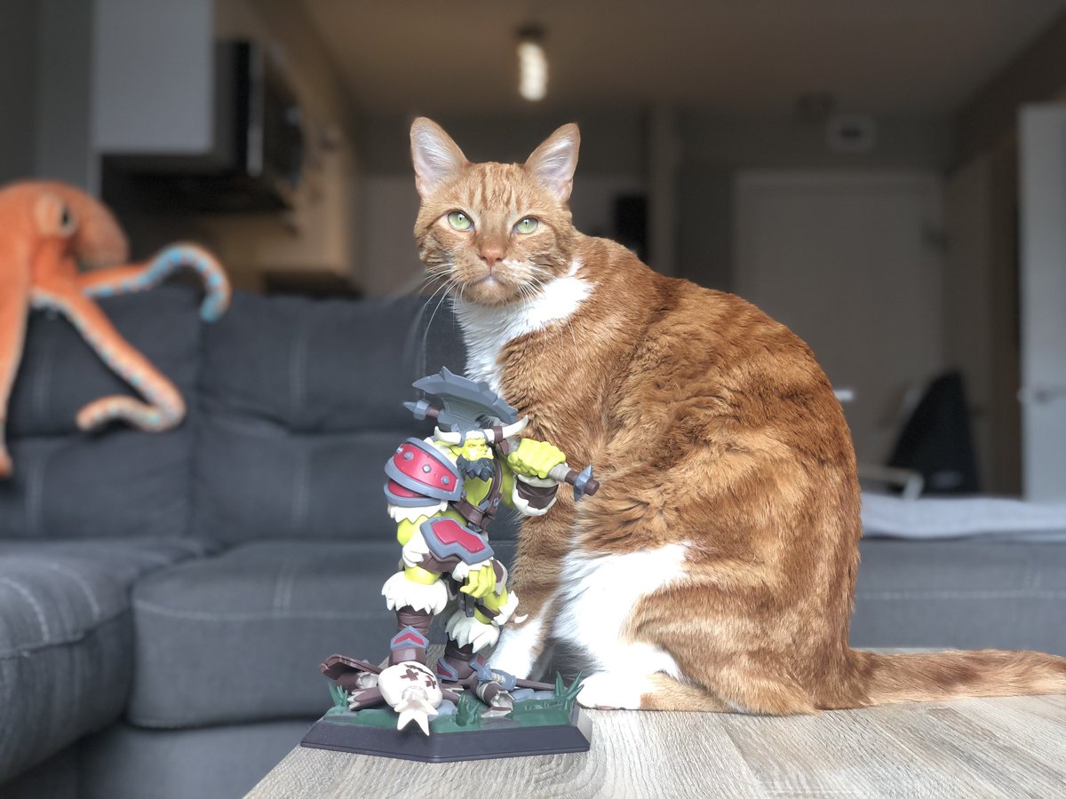 "King Montezuma the 1st, Lord of all Cats. Rules with an iron paw. Heir to the Ives house." -  http://Battle.net  & Online Products - Shop(You know it's a good pic when the outrageous couch octopus is the 3rd most interesting thing in the shot)