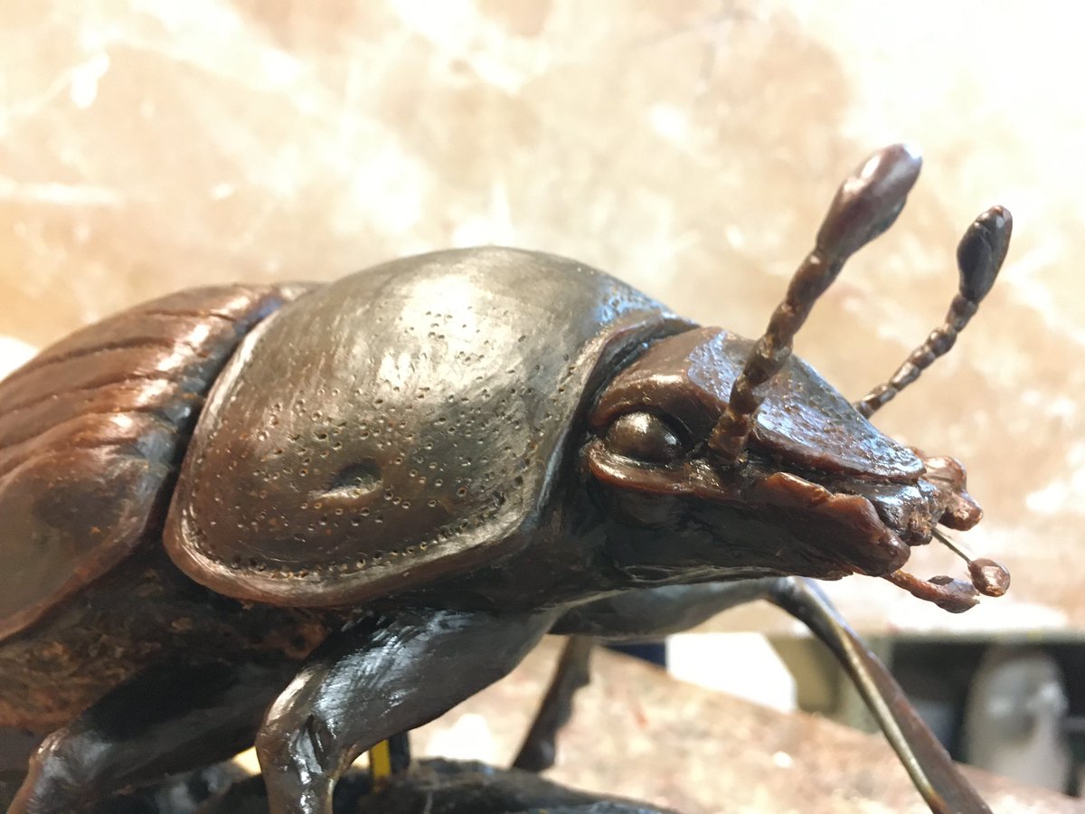 A close up of the dung beetle sculpture crafted in wax & almost finished by artist Mairi Hunt before it begins the process of being reproduced in bronze via the lost-wax method. Amazing detail! #EntoArt