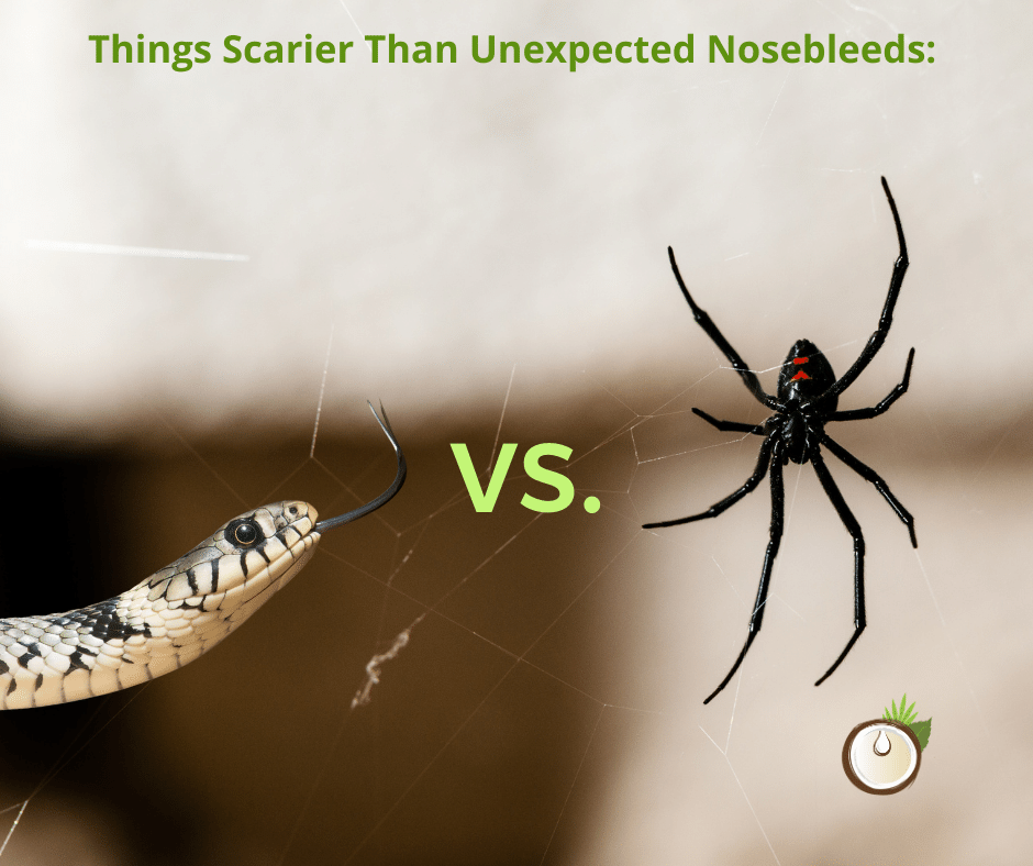 Things Scarier Than Unexpected Nosebleeds: 

Some creatures are just so scary you cannot pick which one is scarier, but instead you admit that they both are scarier any any nosebleed your body could throw at you...

#snakes #spiders #halloweek