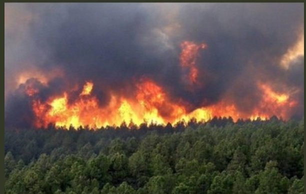 Melek18635643's tweet photo. The territory of the #Goygol district, located outside the war zone, was fired from heavy artillery installations of the #Armenian , and as a result, forest in #Goygol started to burn... #StopArmenianAggression #StopArmenianTerrorism ENOUGH! https://t.co/O29o10UIvk