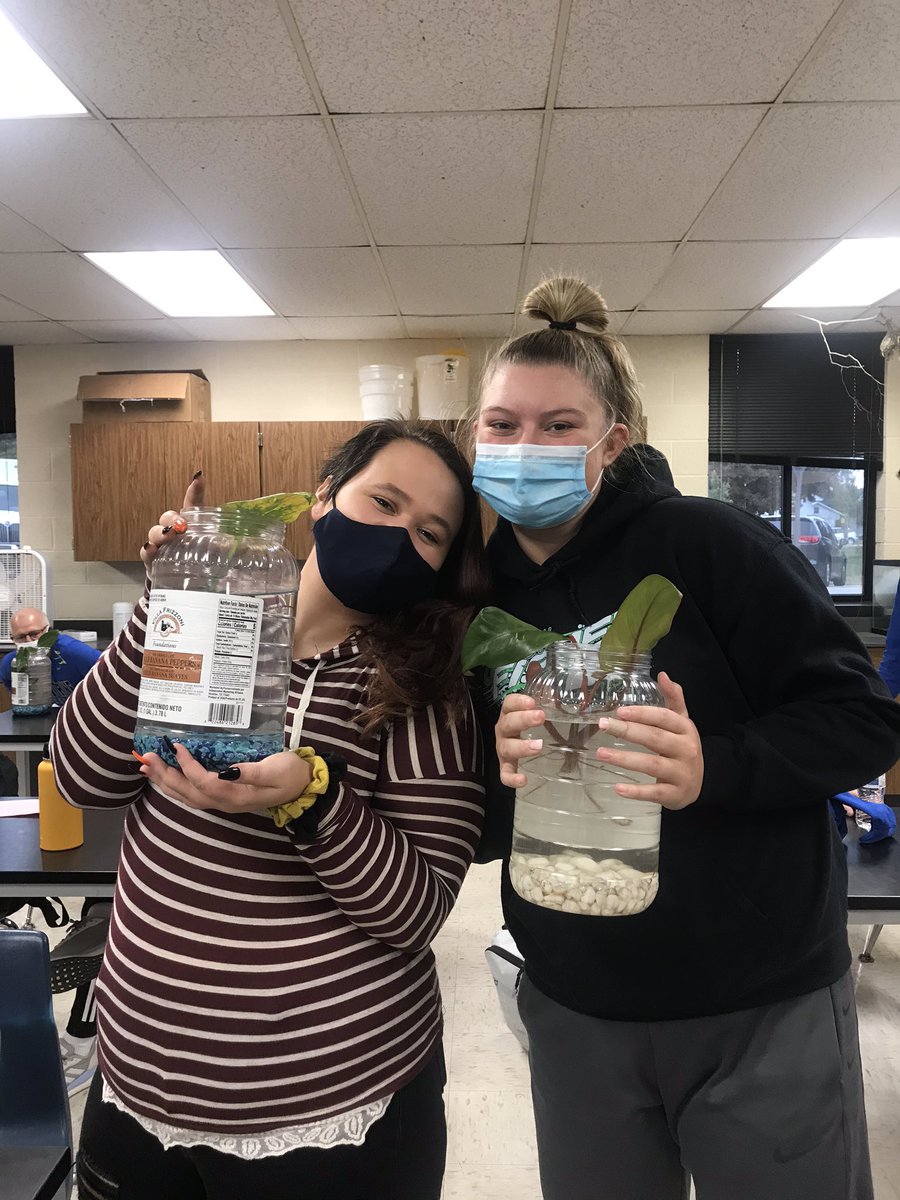 sci_dalton's tweet photo. Hands on discovery of ecosystems and the nitrogen cycle by building live aquaponics! #handsonlearning #Biology https://t.co/pcpKSTEwuk