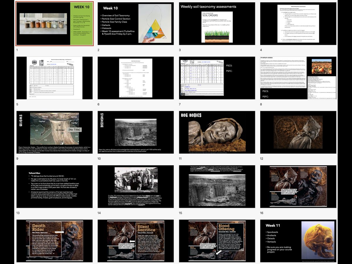 PSA - if you're teaching a soils course right now - it's the natural time to slip in a few slides about Bog Bodies. Serendipitously - I am covering Histosols this week so the timing couldn't be better. 💀🪦🎃