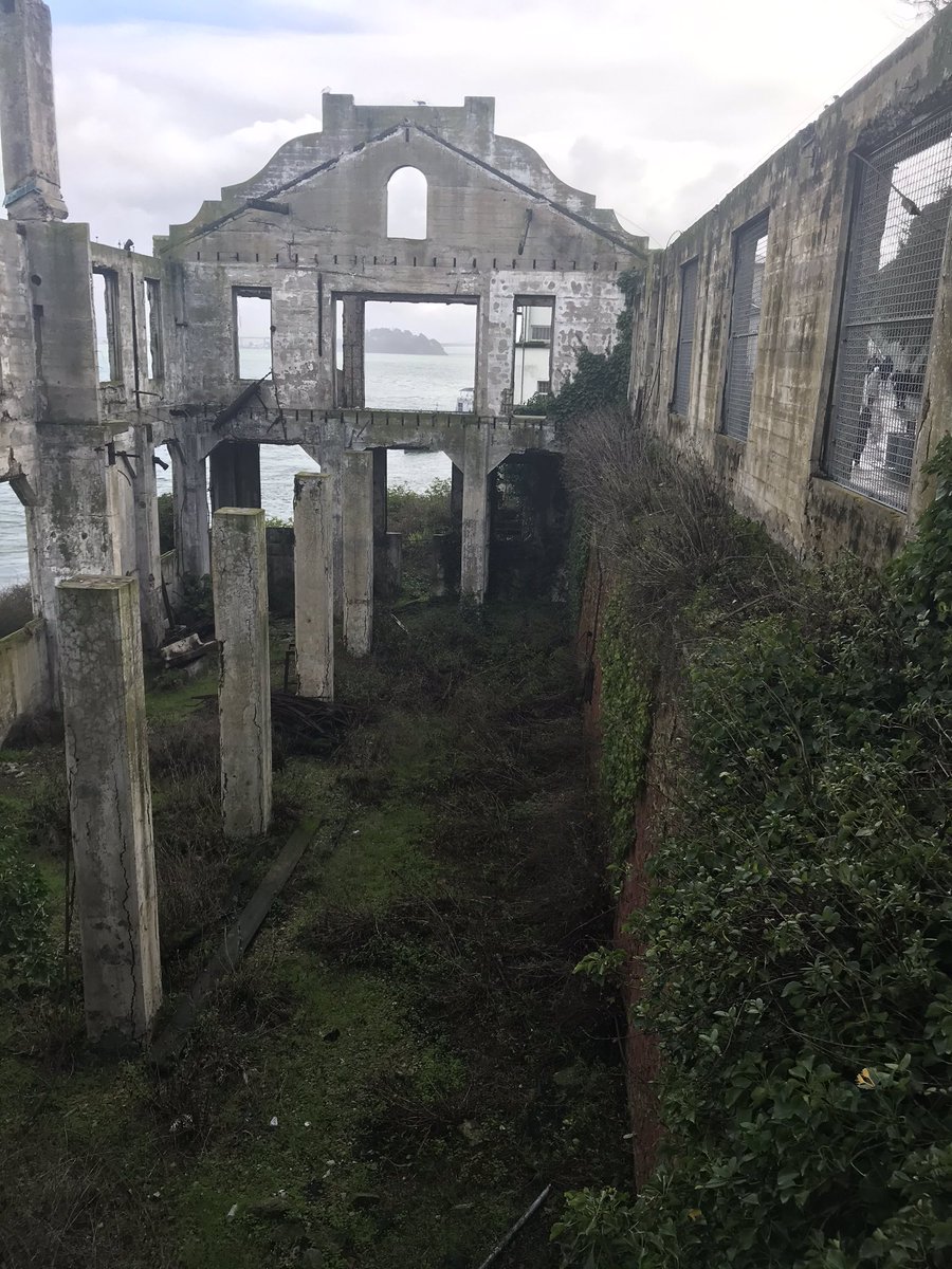 incisedinsides's tweet photo. i love natural corrosion https://t.co/q8Jsa202hX
