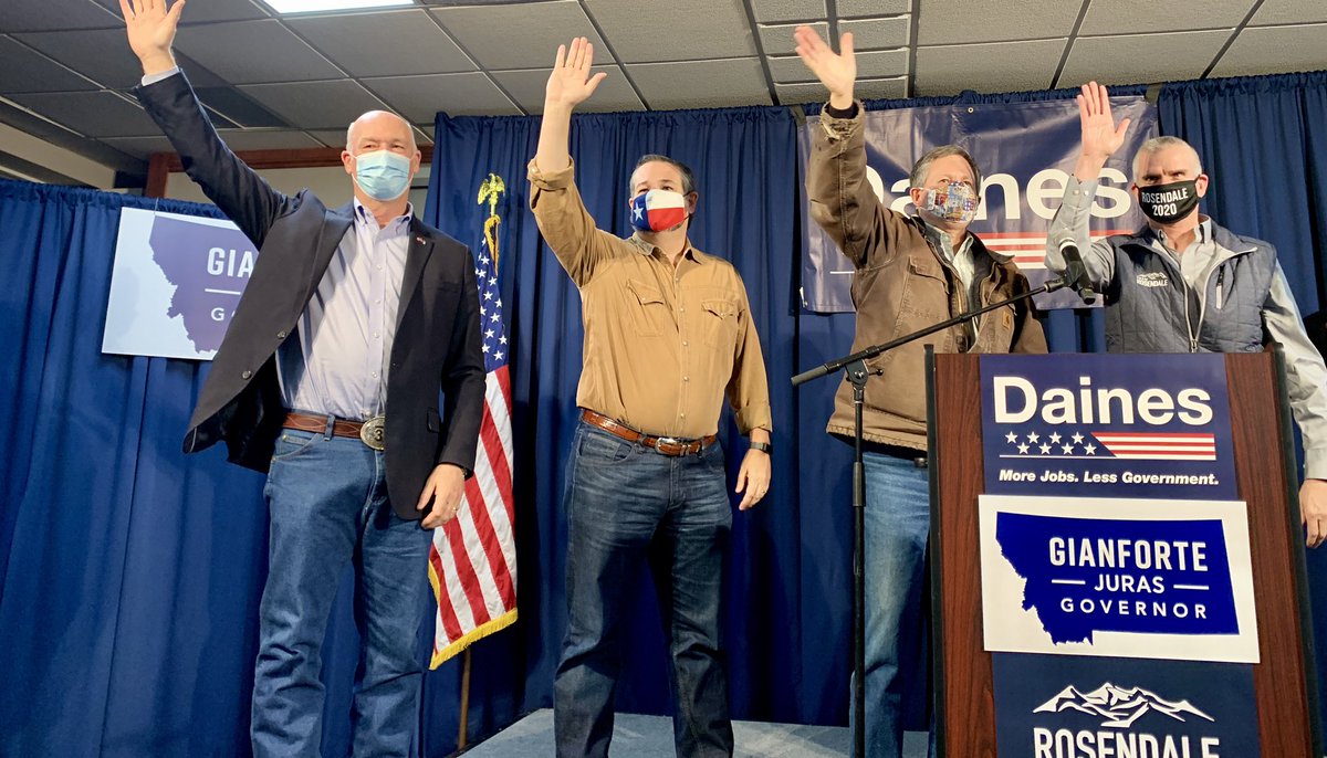 Team Daines tweet media