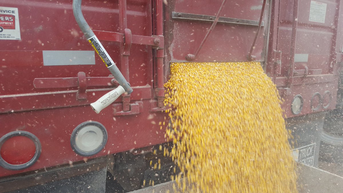 Have you ever watched grain flowing out of a truck and think about a slot machine paying out? #harvest20 #agronomistlife #ThursdayThoughts #corn