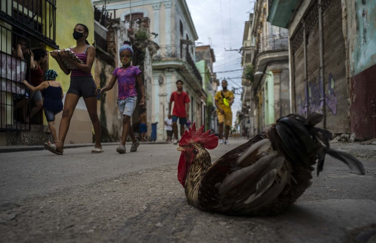 Cubanos, cansados de sanciones y atentos a comicios de #EEUU. #Trump desoyó a emprendedores. #Biden podría dar un giro a política de hostilidad, dicen expertos. es-us.noticias.yahoo.com/cubanos-cansad… a través de @YahooNoticias @AP_respinosa @turylevy