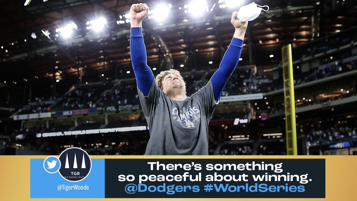 MLB's tweet photo. This was the @Dodgers' year. #WorldSeries https://t.co/1zsuJXSKsC
