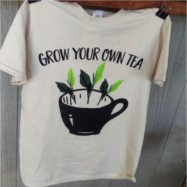 carolinafarm's tweet photo. We've heard lots of chatter about growing herbs and teas as well as making blends lately, so we're visiting a tea grower in Chapel Hill, NC (Christine Parks of Camellia Forest Tea Gardens) tomorrow for #ThisWeekatCFSA!
Join us at 10 am! https://t.co/2vho1SrkLj https://t.co/IyxiWkqGxT