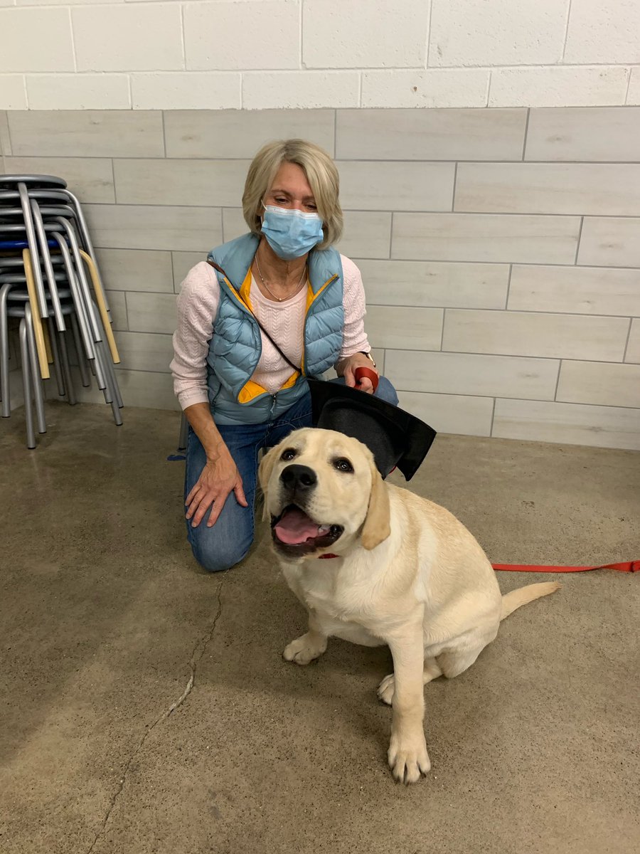 carolinebanas's tweet photo. Weird that my dog graduated on Sunday and not me https://t.co/lNMrNhsW2L