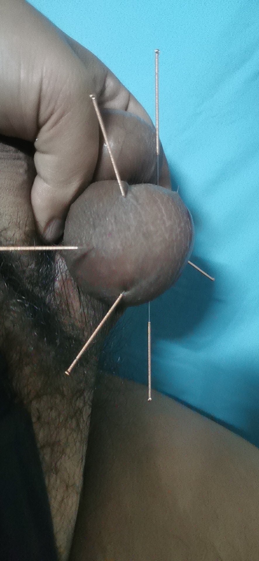 蛋虐 接受阉割on Twitter 刺穿睾丸的感觉 特别爽 有没有主来试试 T Co Eiwffndqzy Twitter 蛋虐 接受阉割on Twitter 刺穿睾丸的感觉 特别爽 有没有主来试试 T Co Eiwffndqzy Twitter