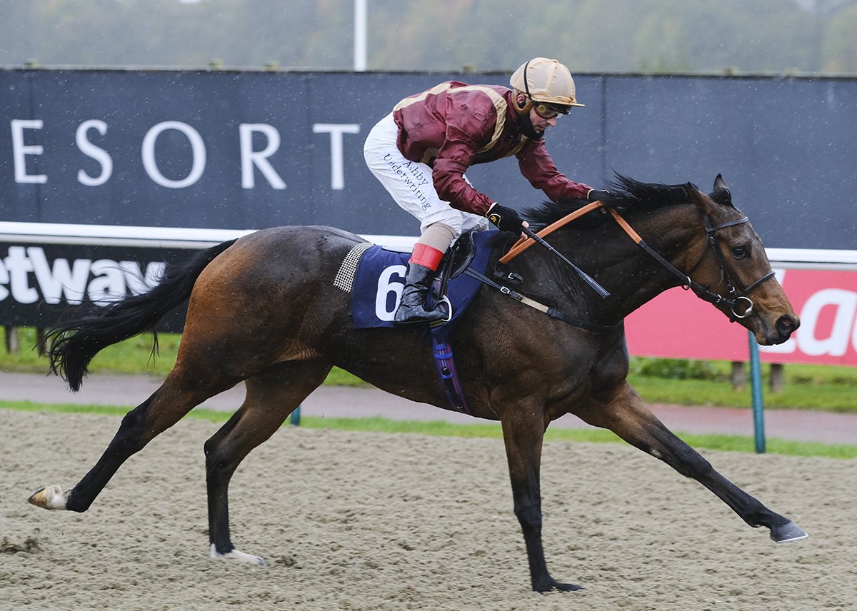 MarkGrantRacing's tweet photo. Congratulations to @jportmanracing and @HotToTrotRacing with Mariance winning @LingfieldPark today! Broken by #MarkGrantRacing #Breakingwinners [📸 Lingfield Park ] https://t.co/VPhHH8IhLt