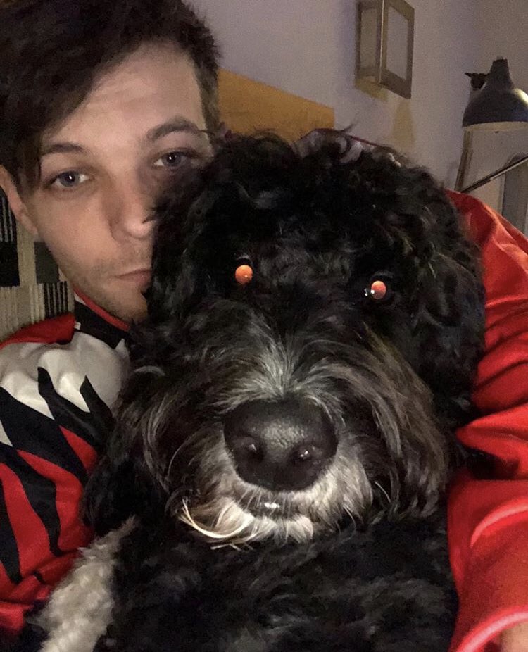 every selfie on louis’ instagram because i miss him; a surprisingly long thread (in chronological order)