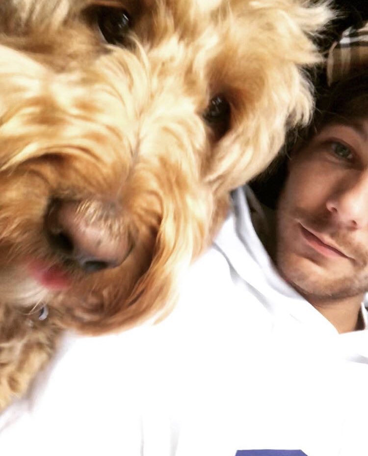 every selfie on louis’ instagram because i miss him; a surprisingly long thread (in chronological order)