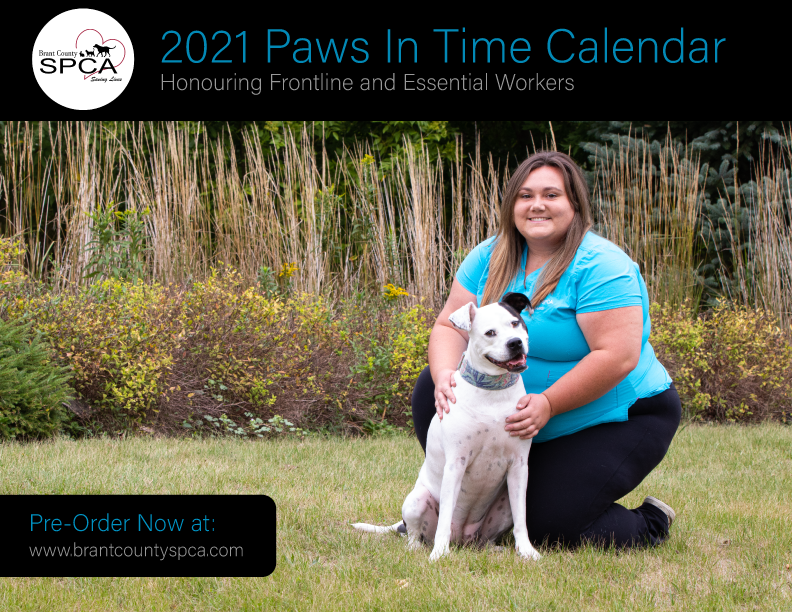 brant county spca dogs for adoption