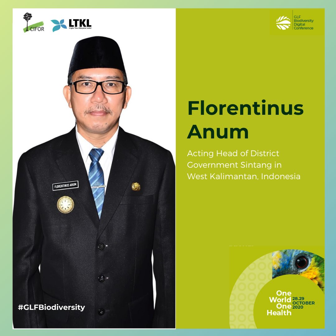 For the main event, we have Florentinus Anum from  #Sintang Government to share about the regional government's role in achieving the nature-based economy and sustainable environment goals.  #GLFBiodiversity