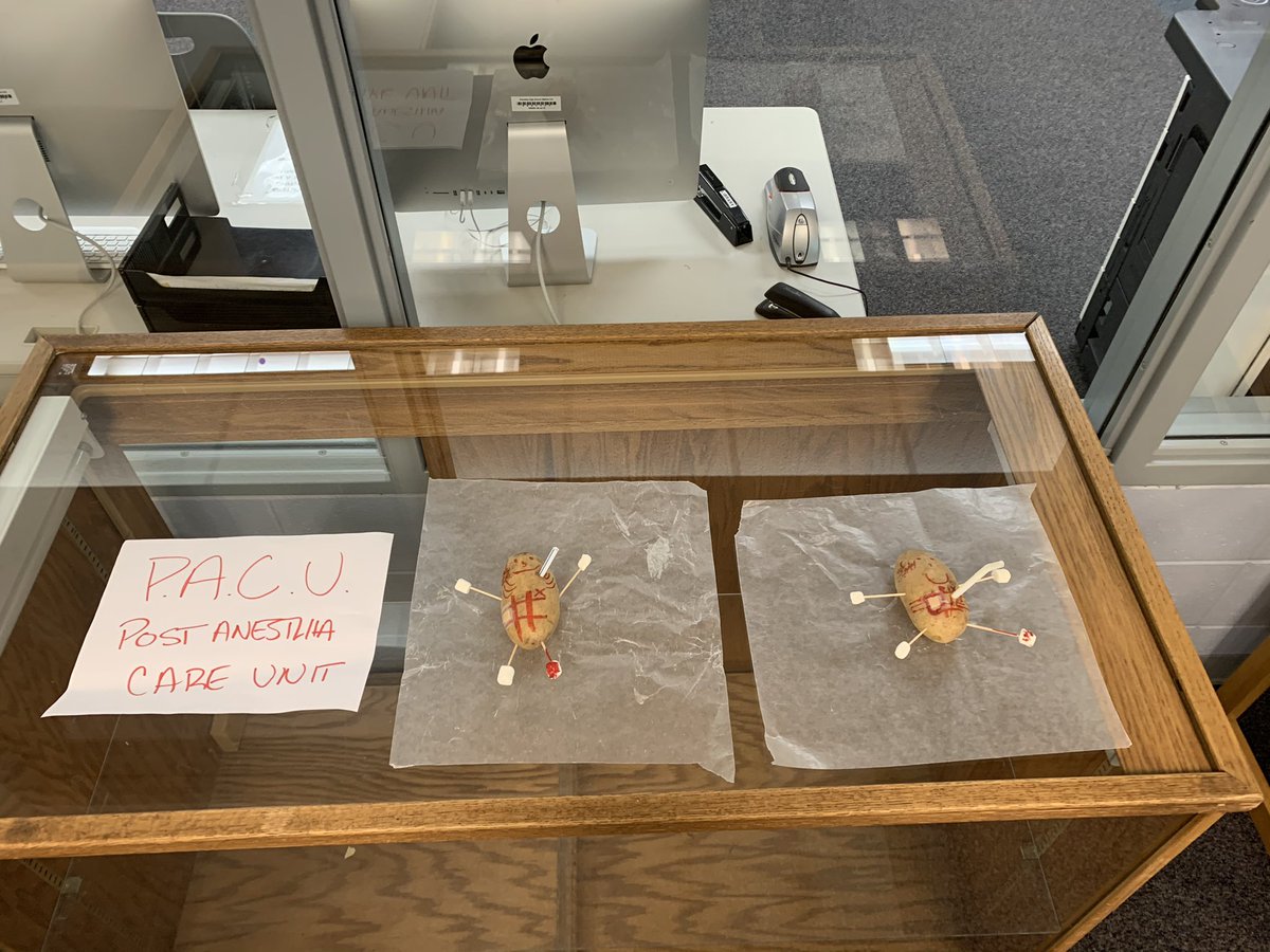 Aaron Marnstein (@marn_pe_atc) on Twitter photo Mr. Spud and family are on their way to a full recovery. Next up is 4th period #ProspectExPhys. <a href="/KnightsofPHS/">Prospect High School</a> <a href="/PHS_KnightsPE/">Prospect HS PE</a> #ProspectExPhys <a href="/District214/">District 214</a> #phslearns Mr. Spud and family are on their way to a full recovery. Next up is 4th period #ProspectExPhys. <a href="/KnightsofPHS/">Prospect High School</a> <a href="/PHS_KnightsPE/">Prospect HS PE</a> #ProspectExPhys <a href="/District214/">District 214</a> #phslearns