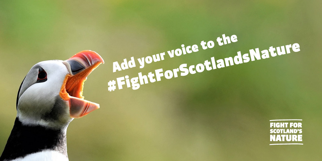 ScotLINK's tweet photo. Great to hear MSPs across the Parliament support strong environmental protections in the #ContinuityBill today. Arguments also made for an independent environment watchdog & strong application of EU environmental principles. #FightforScotlandsNature https://t.co/8bjE5abaqY