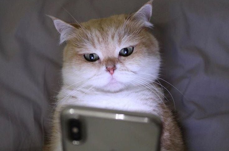 -aynen uyurum birazdan
1 saat sonra;