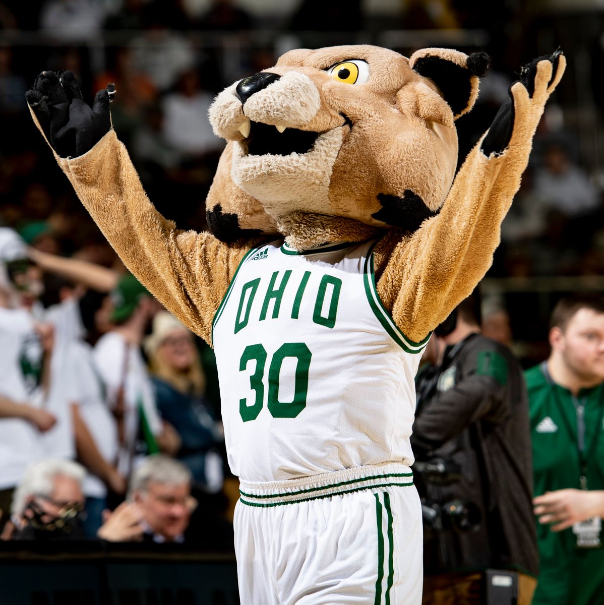 OhioBobcats's tweet photo. #NationalCatDay!
Rufus is our favorite cat. Do you have a picture with Rufus? Or a picture of your cat with Ohio gear? Send it our way and you'll be entered into a drawing for a free stuffed Rufus. Five winners will be randomly selected.
#OUohyeah https://t.co/J52duowTMq